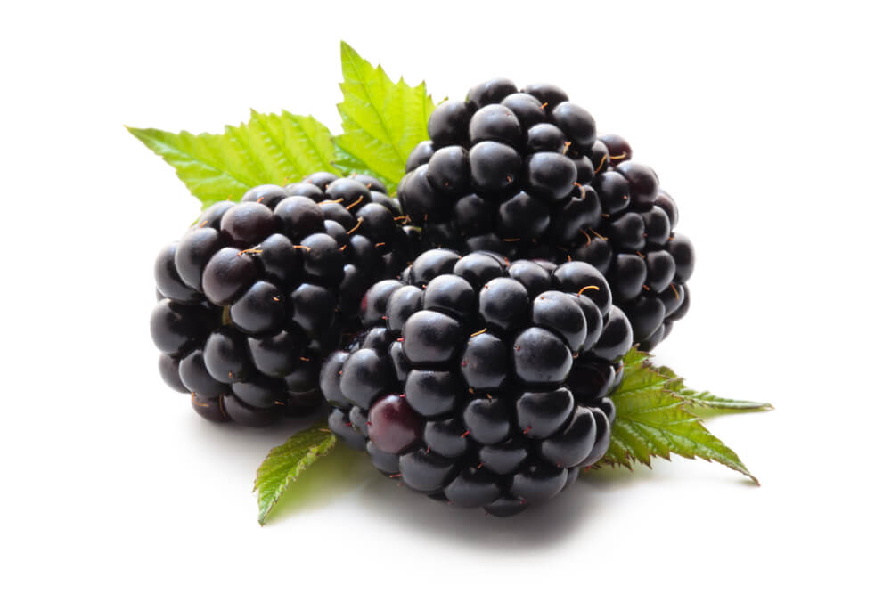 blackberries