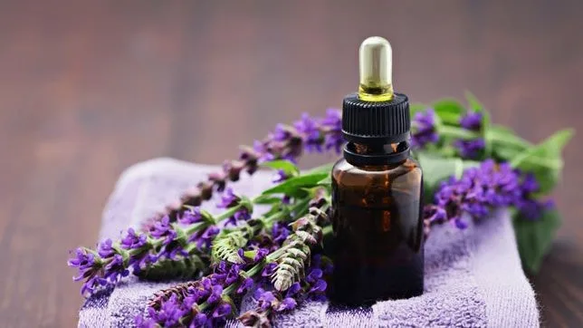 Key Health Benefits of Aromatherapy